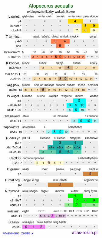 ekologiczne liczby wskaźnikowe Alopecurus aequalis (wyczyniec czerwonożółty)