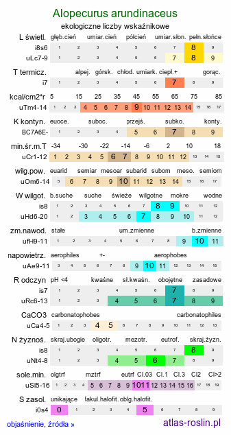 ekologiczne liczby wskaźnikowe Alopecurus arundinaceus (wyczyniec trzcinowaty)