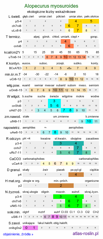 ekologiczne liczby wskaźnikowe Alopecurus myosuroides (wyczyniec polny)