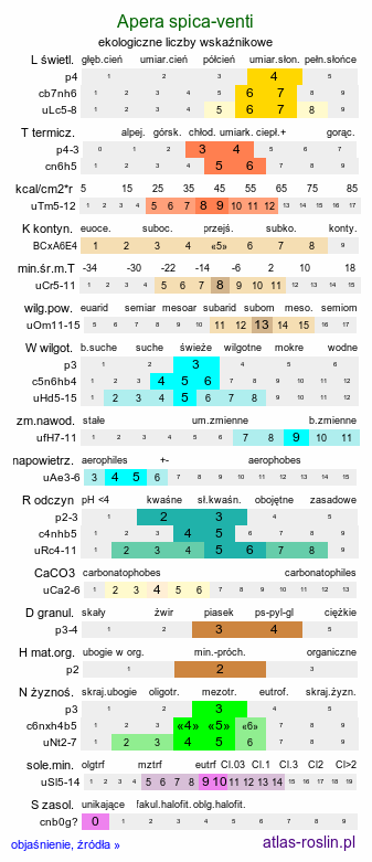 ekologiczne liczby wskaźnikowe Apera spica-venti (miotła zbożowa)