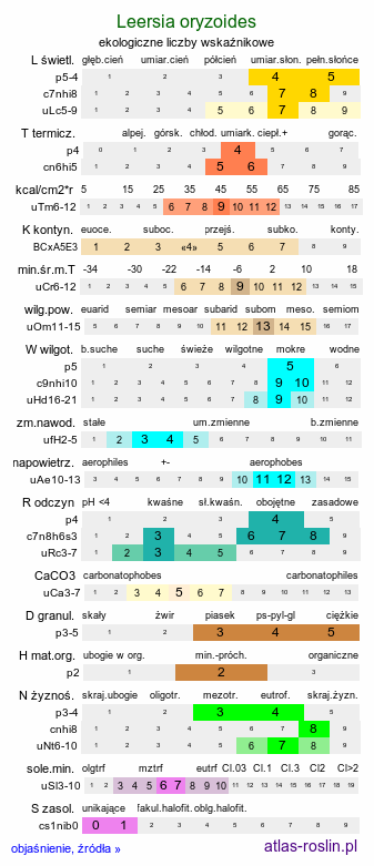 ekologiczne liczby wskaźnikowe Leersia oryzoides (zamokrzyca ryżowa)