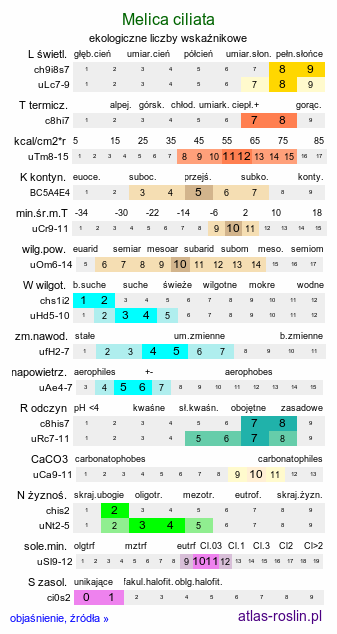 ekologiczne liczby wskaźnikowe Melica ciliata (perłówka orzęsiona)