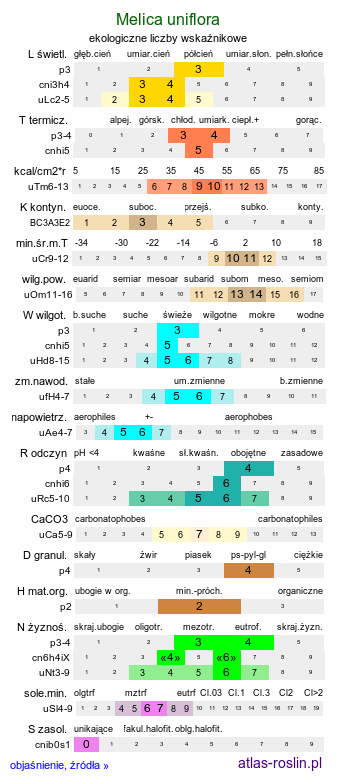 ekologiczne liczby wskaźnikowe Melica uniflora (perłówka jednokwiatowa)