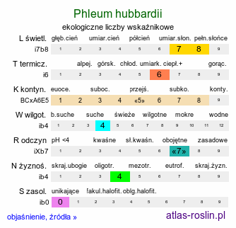 ekologiczne liczby wskaźnikowe Phleum hubbardii (tymotka kolankowata)