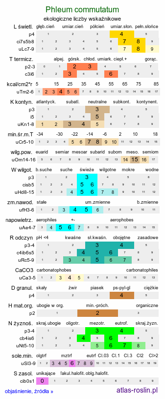 ekologiczne liczby wskaźnikowe Phleum commutatum (tymotka alpejska)