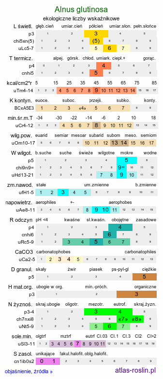 ekologiczne liczby wskaźnikowe Alnus glutinosa (olsza czarna)