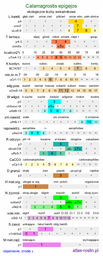 ekologiczne liczby wskaźnikowe Calamagrostis epigejos (trzcinnik piaskowy)