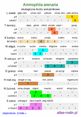 ekologiczne liczby wskaźnikowe Ammophila arenaria (piaskownica zwyczajna)
