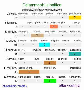 ekologiczne liczby wskaźnikowe ×Calammophila baltica (trzcinnikownica nadbrzeżna)