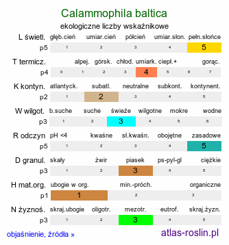 ekologiczne liczby wskaźnikowe Calammophila baltica (trzcinnikownica nadbrzeżna)