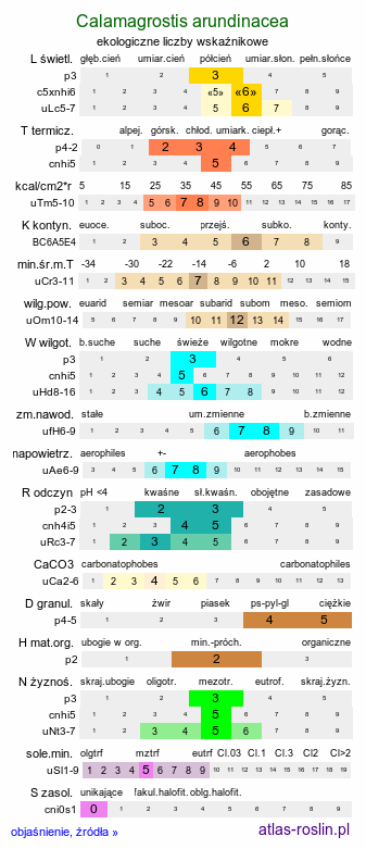 ekologiczne liczby wskaźnikowe Calamagrostis arundinacea (trzcinnik leśny)