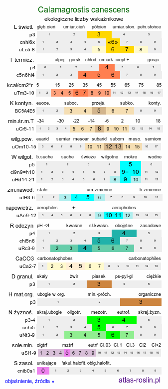 ekologiczne liczby wskaźnikowe Calamagrostis canescens (trzcinnik lancetowaty)