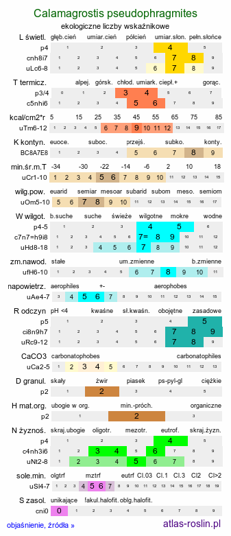 ekologiczne liczby wskaźnikowe Calamagrostis pseudophragmites (trzcinnik szuwarowy)