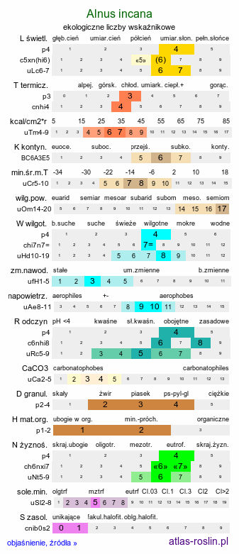 ekologiczne liczby wskaźnikowe Alnus incana (olsza szara)