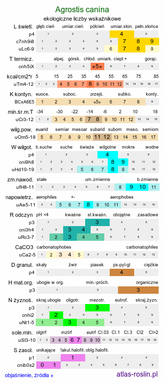 ekologiczne liczby wskaźnikowe Agrostis canina (mietlica psia)