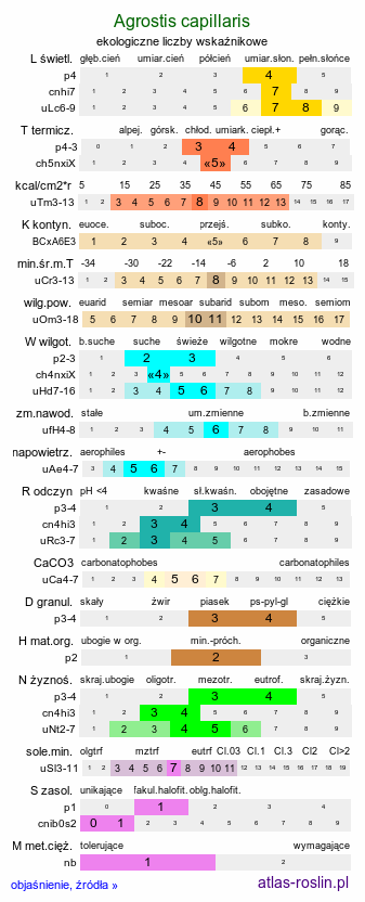 ekologiczne liczby wskaźnikowe Agrostis capillaris (mietlica pospolita)