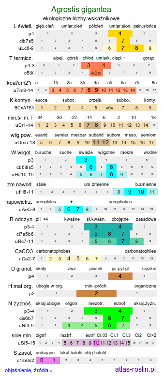 ekologiczne liczby wskaźnikowe Agrostis gigantea (mietlica olbrzymia)
