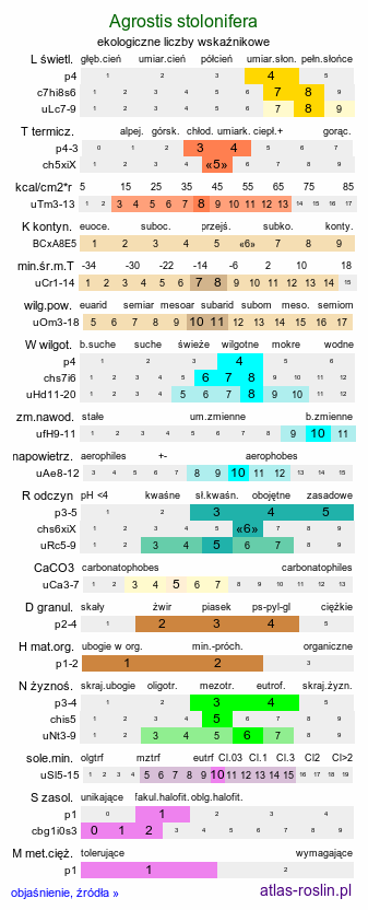 ekologiczne liczby wskaźnikowe Agrostis stolonifera (mietlica rozłogowa)