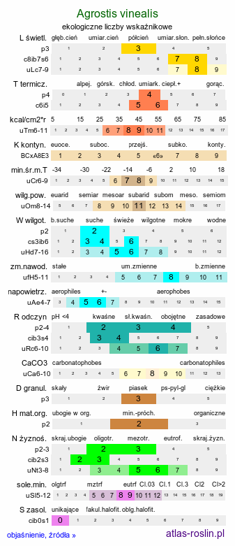 ekologiczne liczby wskaźnikowe Agrostis vinealis (mietlica piaskowa)
