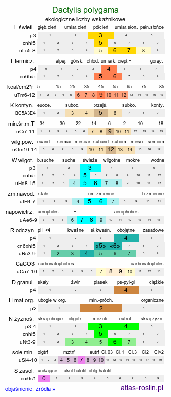 ekologiczne liczby wskaźnikowe Dactylis polygama (kupkówka Aschersona)