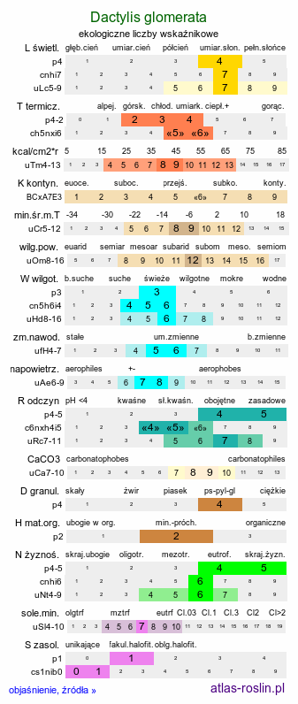 ekologiczne liczby wskaźnikowe Dactylis glomerata (kupkówka pospolita)