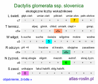 ekologiczne liczby wskaźnikowe Dactylis glomerata ssp. slovenica (kupkówka pospolita słowacka)