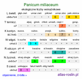 ekologiczne liczby wskaźnikowe Panicum miliaceum (proso zwyczajne)