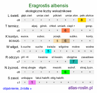 ekologiczne liczby wskaźnikowe Eragrostis albensis (miłka połabska)