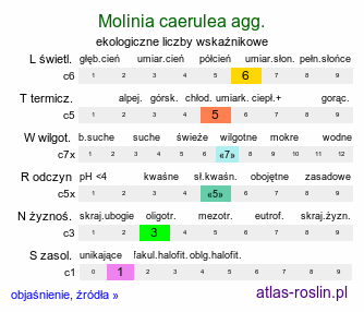 ekologiczne liczby wskaźnikowe Molinia caerulea agg. (trzęślica modra agg.)
