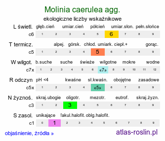 ekologiczne liczby wskaźnikowe Molinia caerulea agg. (trzęślica modra agg.)