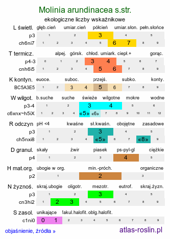 ekologiczne liczby wskaźnikowe Molinia arundinacea s.str. (trzęślica trzcinowata)