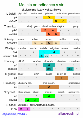 ekologiczne liczby wskaźnikowe Molinia arundinacea (trzęślica trzcinowata)