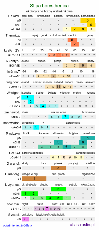 ekologiczne liczby wskaźnikowe Stipa borysthenica (ostnica piaskowa)
