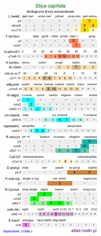 ekologiczne liczby wskaźnikowe Stipa capillata (ostnica włosowata)