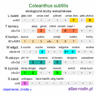 ekologiczne liczby wskaźnikowe Coleanthus subtilis (koleantus delikatny)