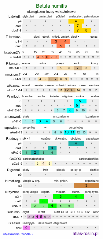 ekologiczne liczby wskaźnikowe Betula humilis (brzoza niska)