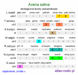 ekologiczne liczby wskaźnikowe Avena sativa (owies zwyczajny)