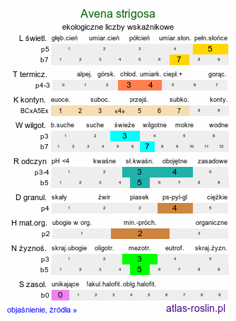 ekologiczne liczby wskaźnikowe Avena strigosa (owies szorstki)