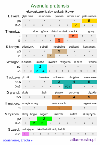 ekologiczne liczby wskaźnikowe Avenula pratensis (owsica łąkowa)