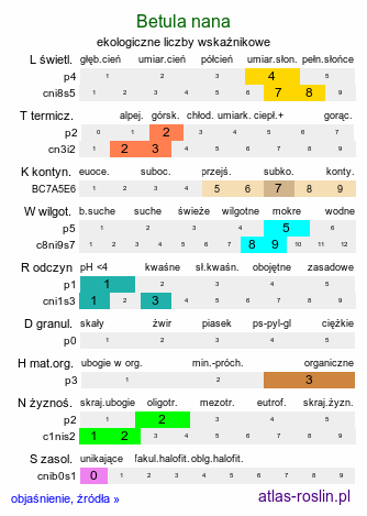 ekologiczne liczby wskaźnikowe Betula nana (brzoza karłowata)