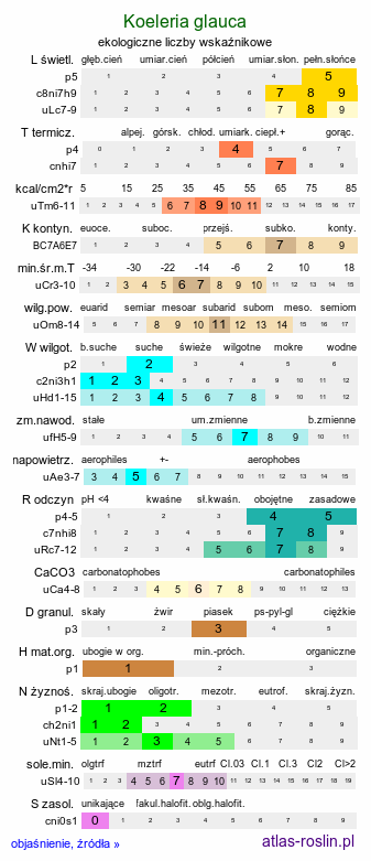 ekologiczne liczby wskaźnikowe Koeleria glauca (strzęplica sina)