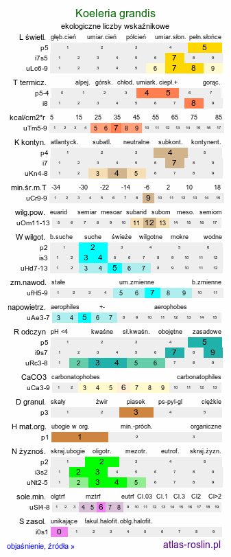 ekologiczne liczby wskaźnikowe Koeleria grandis (strzęplica polska)