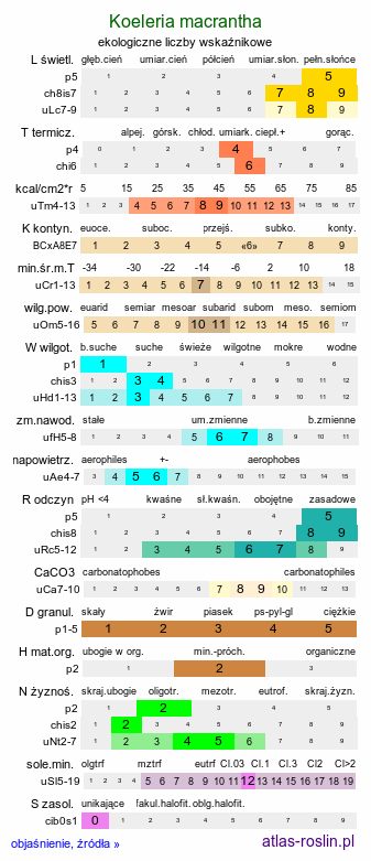 ekologiczne liczby wskaźnikowe Koeleria macrantha (strzęplica nadobna)