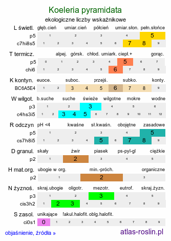 ekologiczne liczby wskaźnikowe Koeleria pyramidata (strzęplica piramidalna)