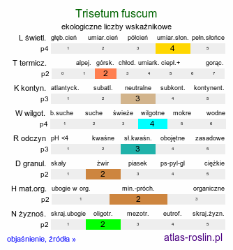 ekologiczne liczby wskaźnikowe Trisetum fuscum (konietlica karpacka)