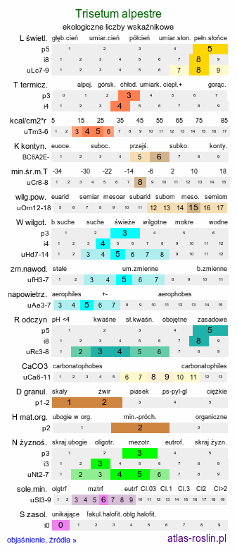 ekologiczne liczby wskaźnikowe Trisetum alpestre (konietlica alpejska)