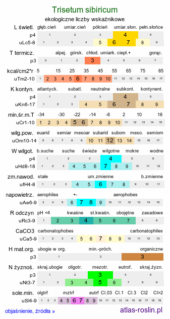 ekologiczne liczby wskaźnikowe Trisetum sibiricum (konietlica syberyjska)