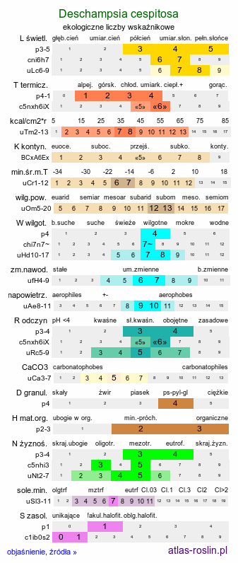 ekologiczne liczby wskaźnikowe Deschampsia cespitosa (śmiałek darniowy)