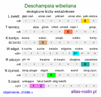 ekologiczne liczby wskaźnikowe Deschampsia wibeliana