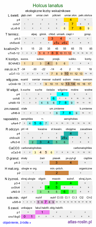 ekologiczne liczby wskaźnikowe Holcus lanatus (kłosówka wełnista)